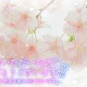 ヒメ日記 2026/04/01 21:35 投稿 とうか あげまん 梅田店
