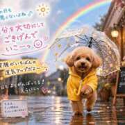 ヒメ日記 2026/04/23 11:46 投稿 とうか あげまん 梅田店