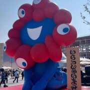 ヒメ日記 2025/08/27 20:20 投稿 くう 大阪はまちゃん日本橋店