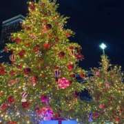 ヒメ日記 2025/12/20 20:20 投稿 くう 大阪はまちゃん日本橋店