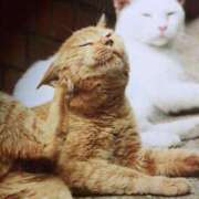 ヒメ日記 2025/07/24 12:11 投稿 みこ あげまん 梅田店