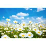 ヒメ日記 2025/08/06 14:01 投稿 もえ あげまん 梅田店