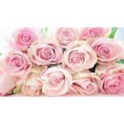 ヒメ日記 2025/08/26 13:55 投稿 もえ あげまん 梅田店