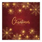 ヒメ日記 2025/12/24 21:55 投稿 もえ あげまん 梅田店