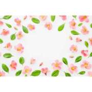 ヒメ日記 2026/03/19 07:48 投稿 もえ あげまん 梅田店