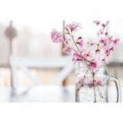 ヒメ日記 2026/03/20 08:01 投稿 もえ あげまん 梅田店