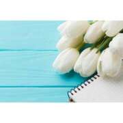 ヒメ日記 2026/03/27 11:37 投稿 もえ あげまん 梅田店