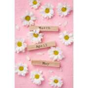 ヒメ日記 2026/04/19 17:02 投稿 もえ あげまん 梅田店