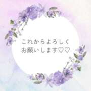 音澤 志乃 よろしくお願いいたします♡♡ 人妻セレブ宮殿