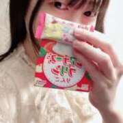 ヒメ日記 2025/07/14 09:44 投稿 ぷりん 桃李（とうり）