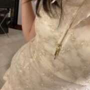 ヒメ日記 2025/07/25 05:54 投稿 ぷりん 桃李（とうり）