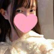 ヒメ日記 2025/07/28 05:54 投稿 ぷりん 桃李（とうり）