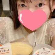 ヒメ日記 2025/08/05 13:56 投稿 ぷりん 桃李（とうり）