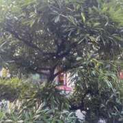 ヒメ日記 2025/08/20 10:34 投稿 樋口しいな 五反田はじめてのエステ