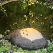 ヒメ日記 2025/11/03 12:56 投稿 樋口しいな 五反田はじめてのエステ