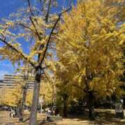 ヒメ日記 2025/12/09 20:50 投稿 樋口しいな 五反田はじめてのエステ