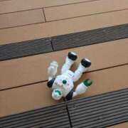 ヒメ日記 2025/07/06 22:57 投稿 あやの あげまん 梅田店