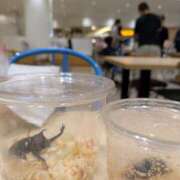 ヒメ日記 2025/08/06 10:18 投稿 あやの あげまん 梅田店