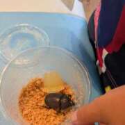 ヒメ日記 2025/08/09 16:22 投稿 あやの あげまん 梅田店