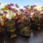 ヒメ日記 2025/09/30 14:21 投稿 あやの あげまん 梅田店