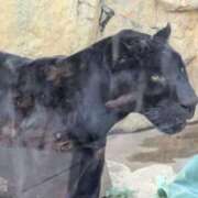 ヒメ日記 2025/10/16 15:10 投稿 あやの あげまん 梅田店