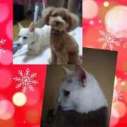 ヒメ日記 2025/12/23 08:30 投稿 ともか あげまん 梅田店