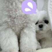 ヒメ日記 2025/08/04 08:31 投稿 くるみ あげまん 梅田店