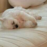 ヒメ日記 2026/01/31 08:25 投稿 くるみ あげまん 梅田店