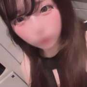 ヒメ日記 2025/08/02 20:54 投稿 なな パイの巣