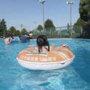 ヒメ日記 2025/09/20 20:55 投稿 さくら アメリカンクリスタル