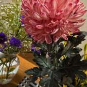 ヒメ日記 2025/08/25 23:02 投稿 稲葉（いなば） 熟女の風俗最終章 名古屋店