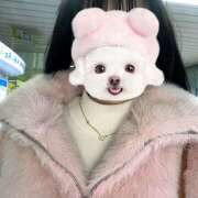 ヒメ日記 2025/12/03 22:50 投稿 りず banana