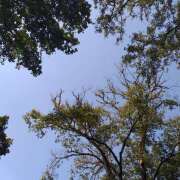 てる ブログ(てる) banana