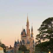 ヒメ日記 2025/12/02 21:19 投稿 てる banana