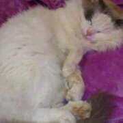 ヒメ日記 2025/12/08 08:18 投稿 しずか 白いぽっちゃりさん仙台店