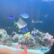 ヒメ日記 2026/03/22 23:33 投稿 かれん しごくなエステ