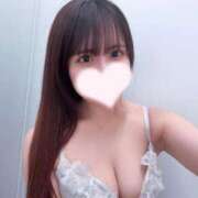 ヒメ日記 2025/07/11 19:35 投稿 あんな【山本〇月激似の美女】 STELLA TOKYO－ステラトウキョウ－