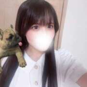 ヒメ日記 2025/11/01 17:03 投稿 あんな【山本〇月激似の美女】 STELLA TOKYO－ステラトウキョウ－