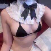 ヒメ日記 2025/11/05 23:05 投稿 あんな【山本〇月激似の美女】 STELLA TOKYO－ステラトウキョウ－