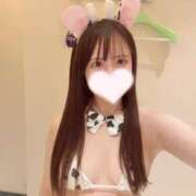 ヒメ日記 2025/11/22 12:12 投稿 あんな【山本〇月激似の美女】 STELLA TOKYO－ステラトウキョウ－