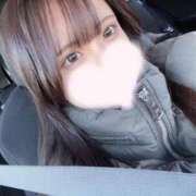 ヒメ日記 2025/12/28 11:06 投稿 あんな【山本〇月激似の美女】 STELLA TOKYO－ステラトウキョウ－