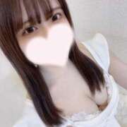 ヒメ日記 2026/03/29 11:07 投稿 あんな【山本〇月激似の美女】 STELLA TOKYO－ステラトウキョウ－