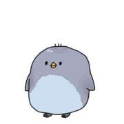 ヒメ日記 2025/12/22 20:42 投稿 みなみ【説明不要の人気姫】 STAR-スター-