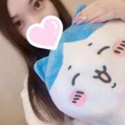 ヒメ日記 2025/09/16 15:15 投稿 よつき 京都 泡洗体ハイブリッドエステ PUPPY LOVE 京都駅前本店