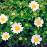 ヒメ日記 2025/07/21 17:23 投稿 ひまり CLUB DEEP 博多