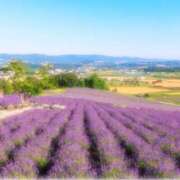 ヒメ日記 2025/07/29 18:04 投稿 ひまり CLUB DEEP 博多