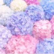 ヒメ日記 2025/08/03 16:53 投稿 ひまり CLUB DEEP 博多