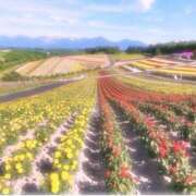 ヒメ日記 2025/08/07 14:13 投稿 ひまり CLUB DEEP 博多