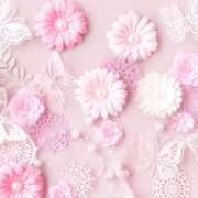 ヒメ日記 2025/09/02 23:53 投稿 ひまり CLUB DEEP 博多