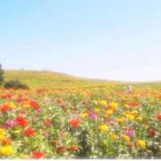 ヒメ日記 2025/09/05 10:33 投稿 ひまり CLUB DEEP 博多